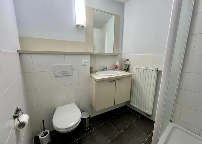 Business Trip - Sauna, Gym, Rooftop Apartman Liège