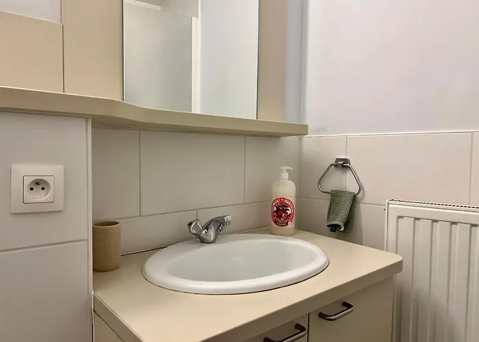 Business Trip - Sauna, Gym, Rooftop Apartman Liège